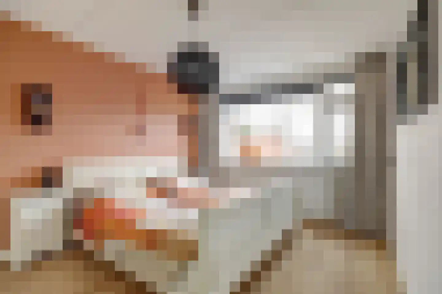 Bremlaan 4 Gouda thumbnail 19
