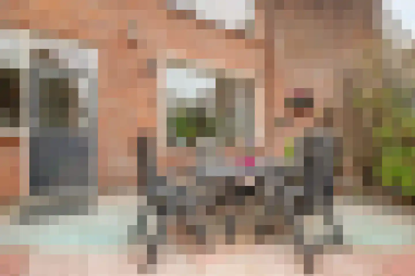 Bremlaan 4 Gouda thumbnail 29