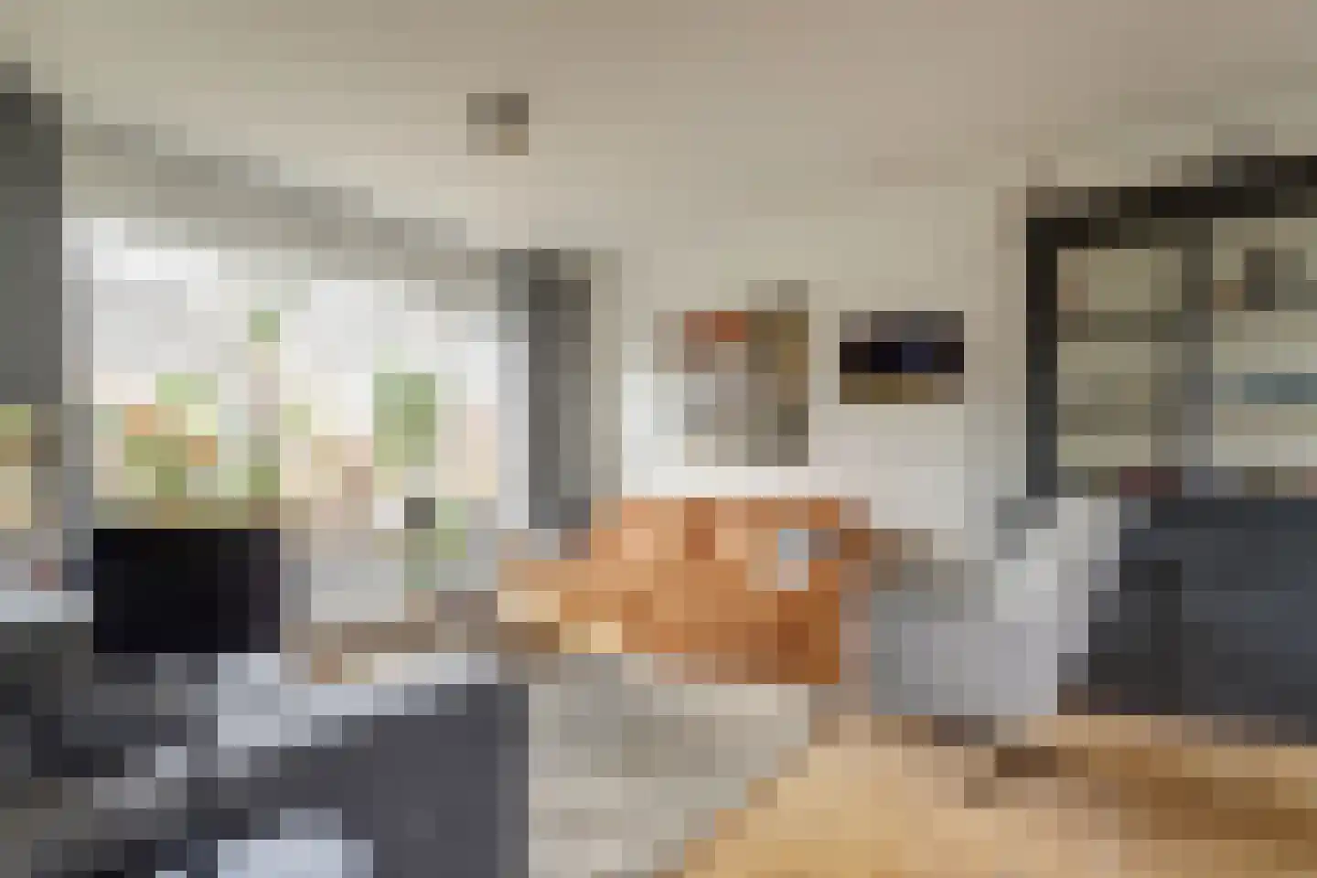 Bremlaan 4 Gouda thumbnail 4