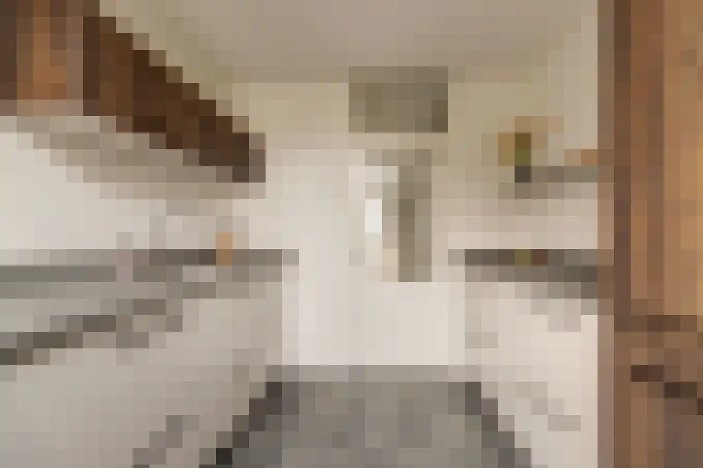 Bremlaan 4 Gouda thumbnail 5
