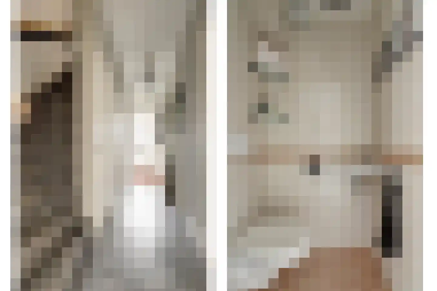 Bremlaan 4 Gouda thumbnail 8