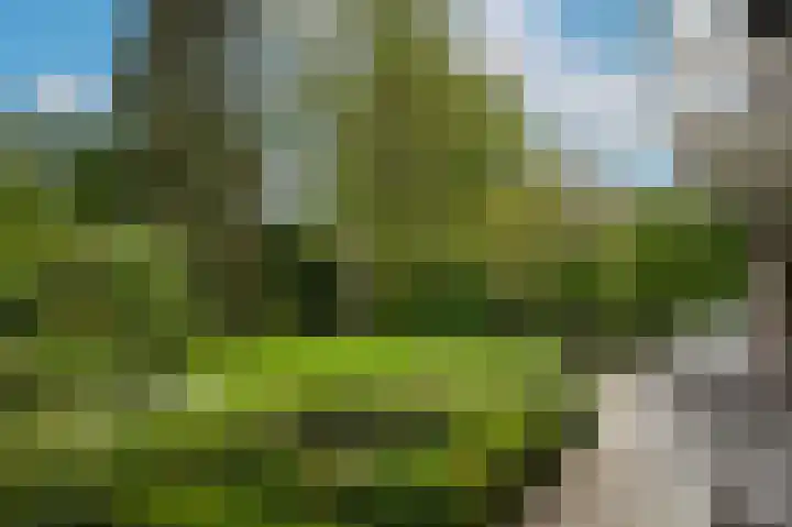 Bremlaan 4 Vught thumbnail 24