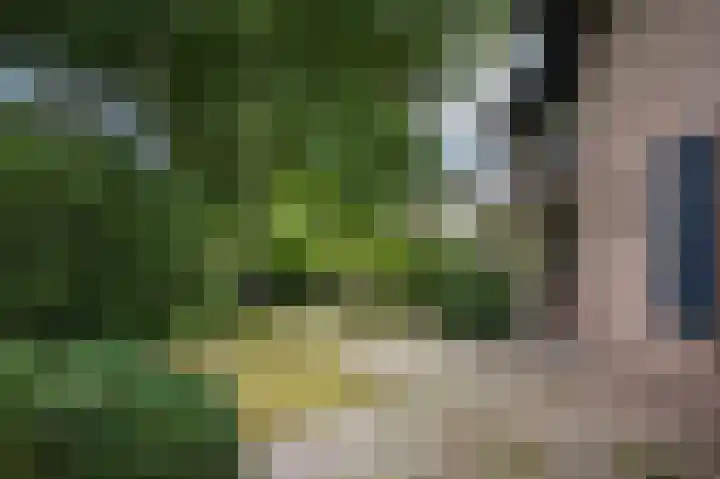 Bremlaan 4 Vught thumbnail 29