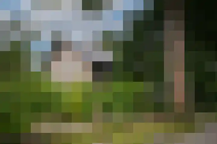Bremlaan 4 Vught thumbnail 31