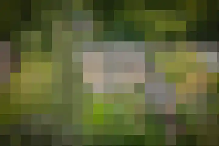 Bremlaan 4 Vught thumbnail 33