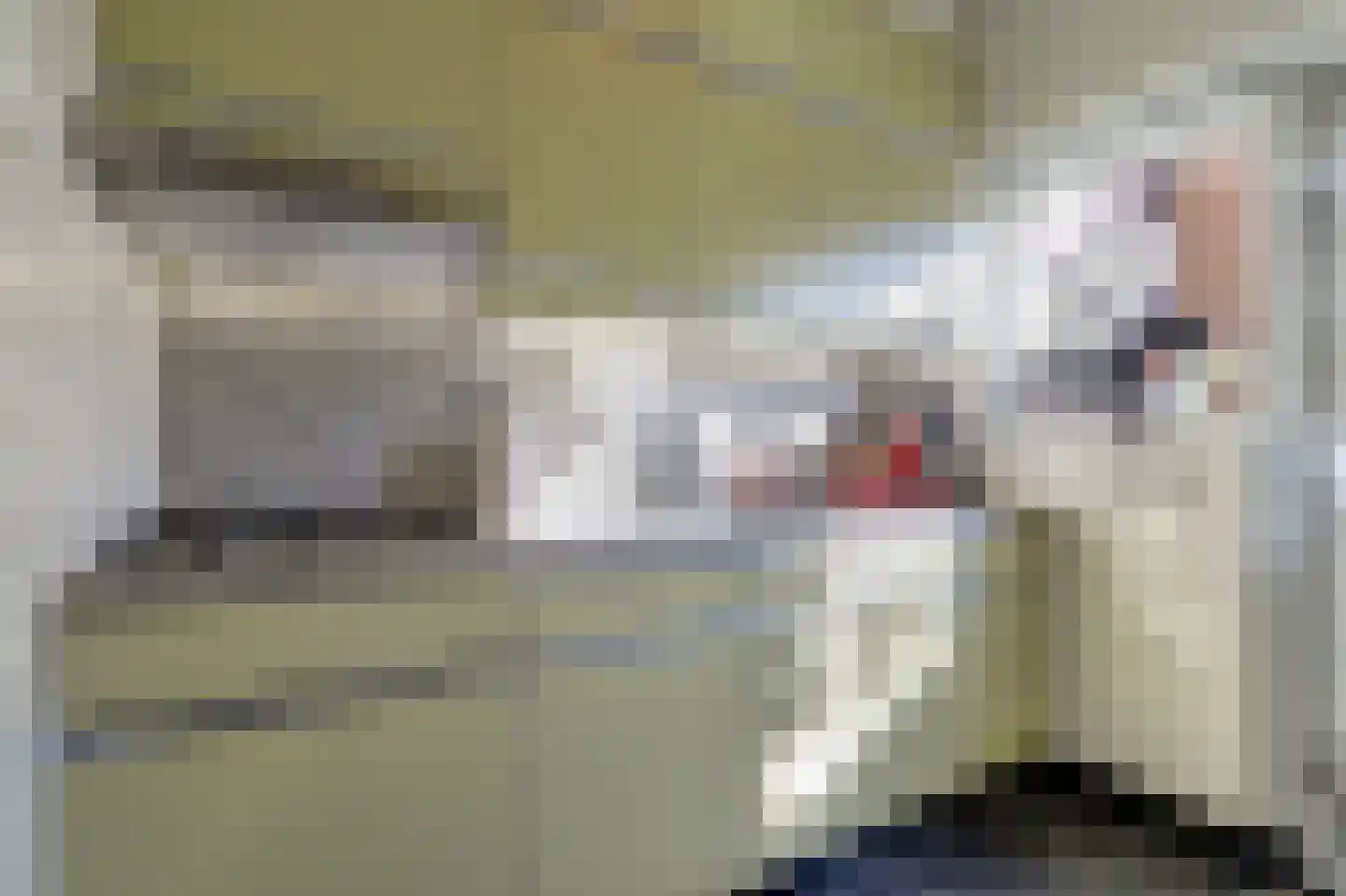 Bremlaan 41 Ede thumbnail 17