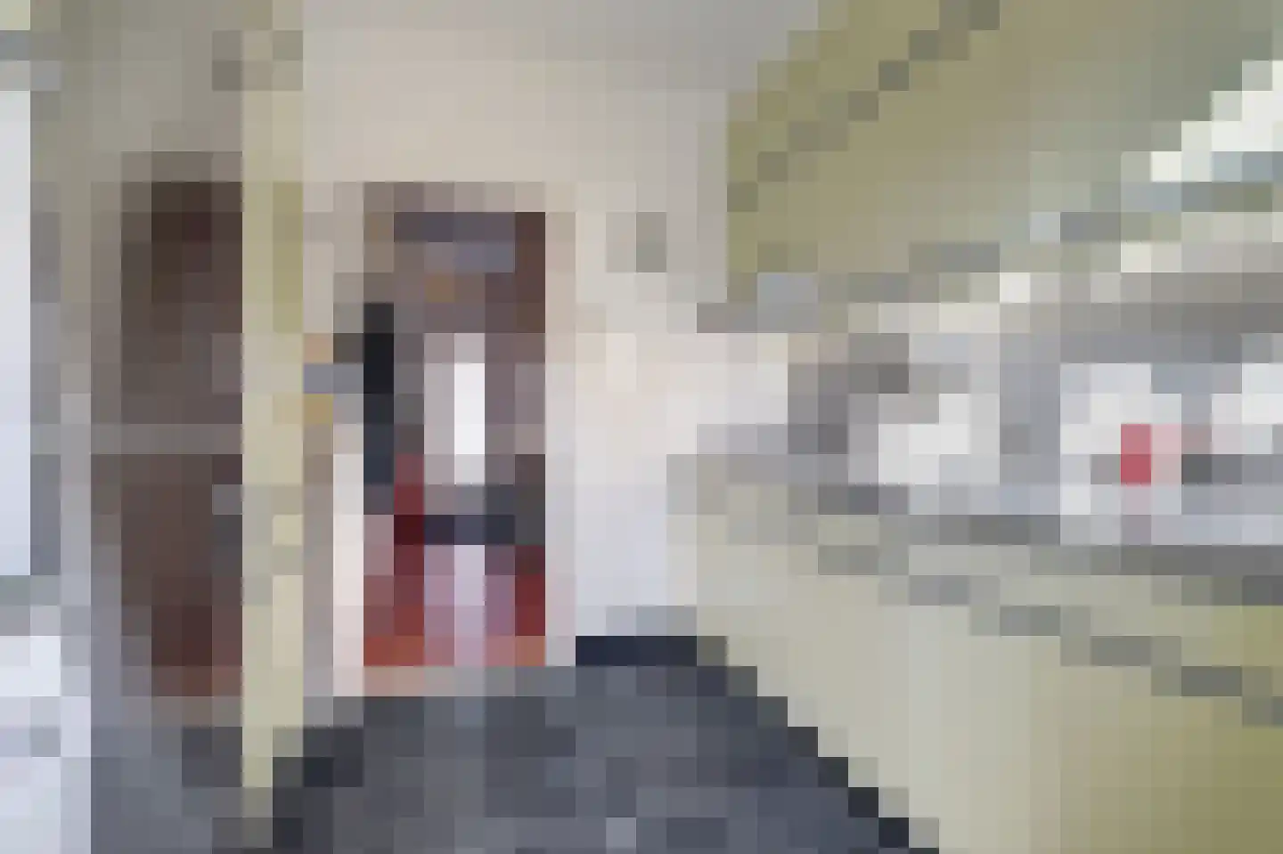 Bremlaan 41 Ede thumbnail 18