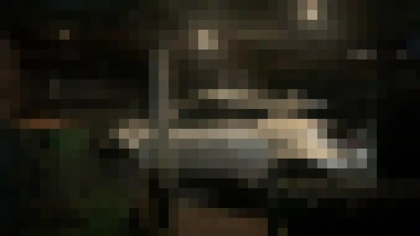 Bremlaan 41 Ede thumbnail 39