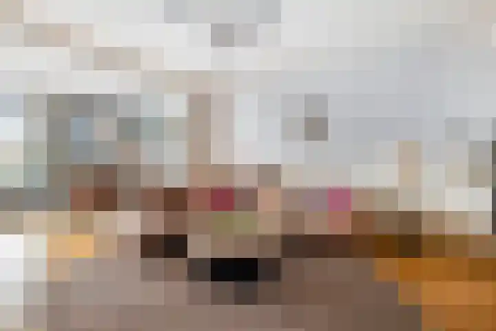 Bremlaan 47 Heerhugowaard thumbnail 17