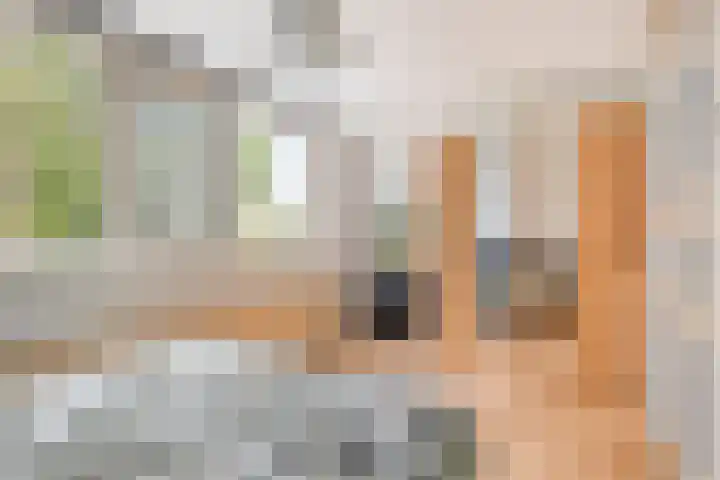 Bremlaan 47 Heerhugowaard thumbnail 30