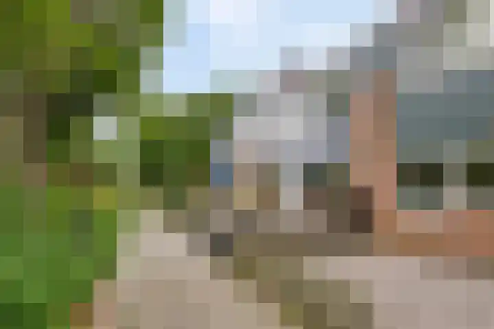 Bremlaan 47 Heerhugowaard thumbnail 8