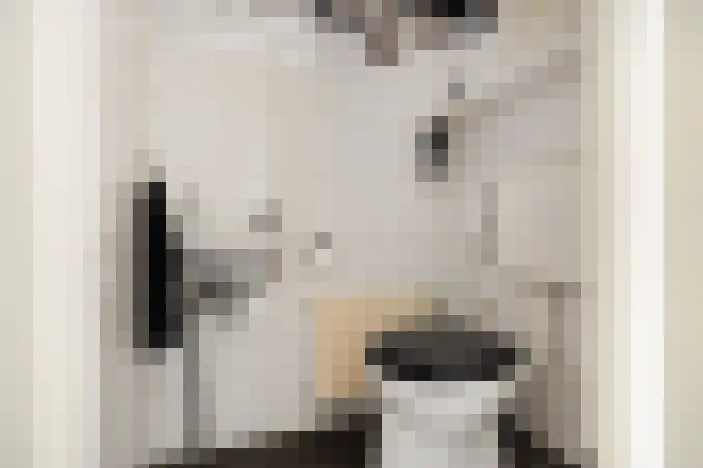 Bremlaan 70 Oss thumbnail 12