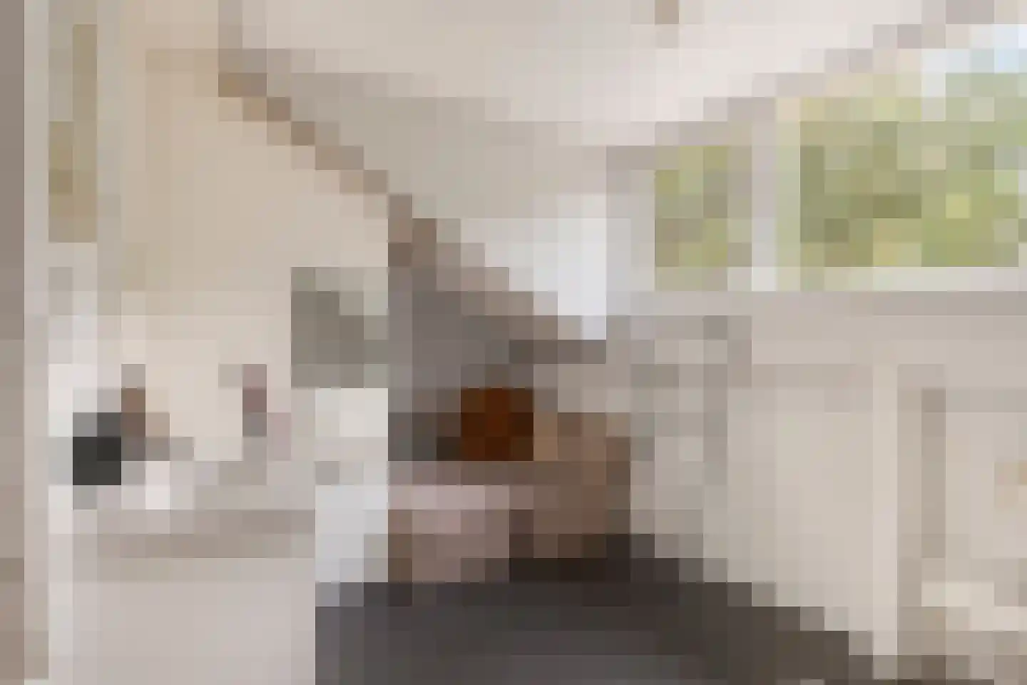 Bremlaan 70 Oss thumbnail 22