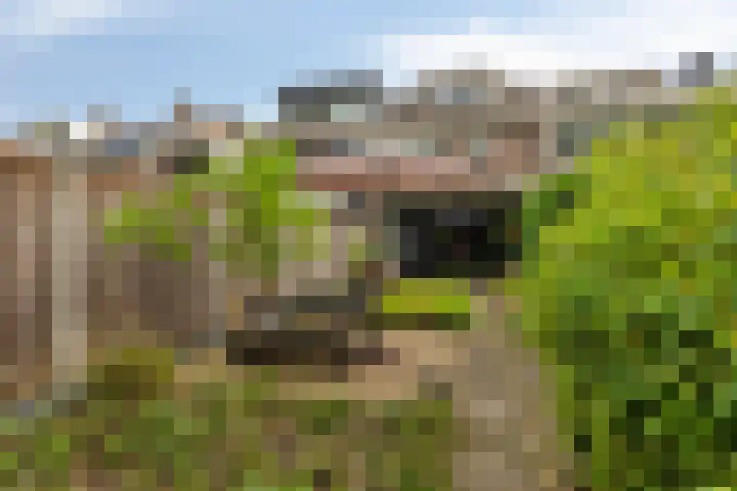 Bremlaan 70 Oss thumbnail 23