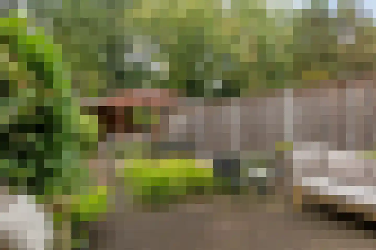 Bremlaan 70 Oss thumbnail 24