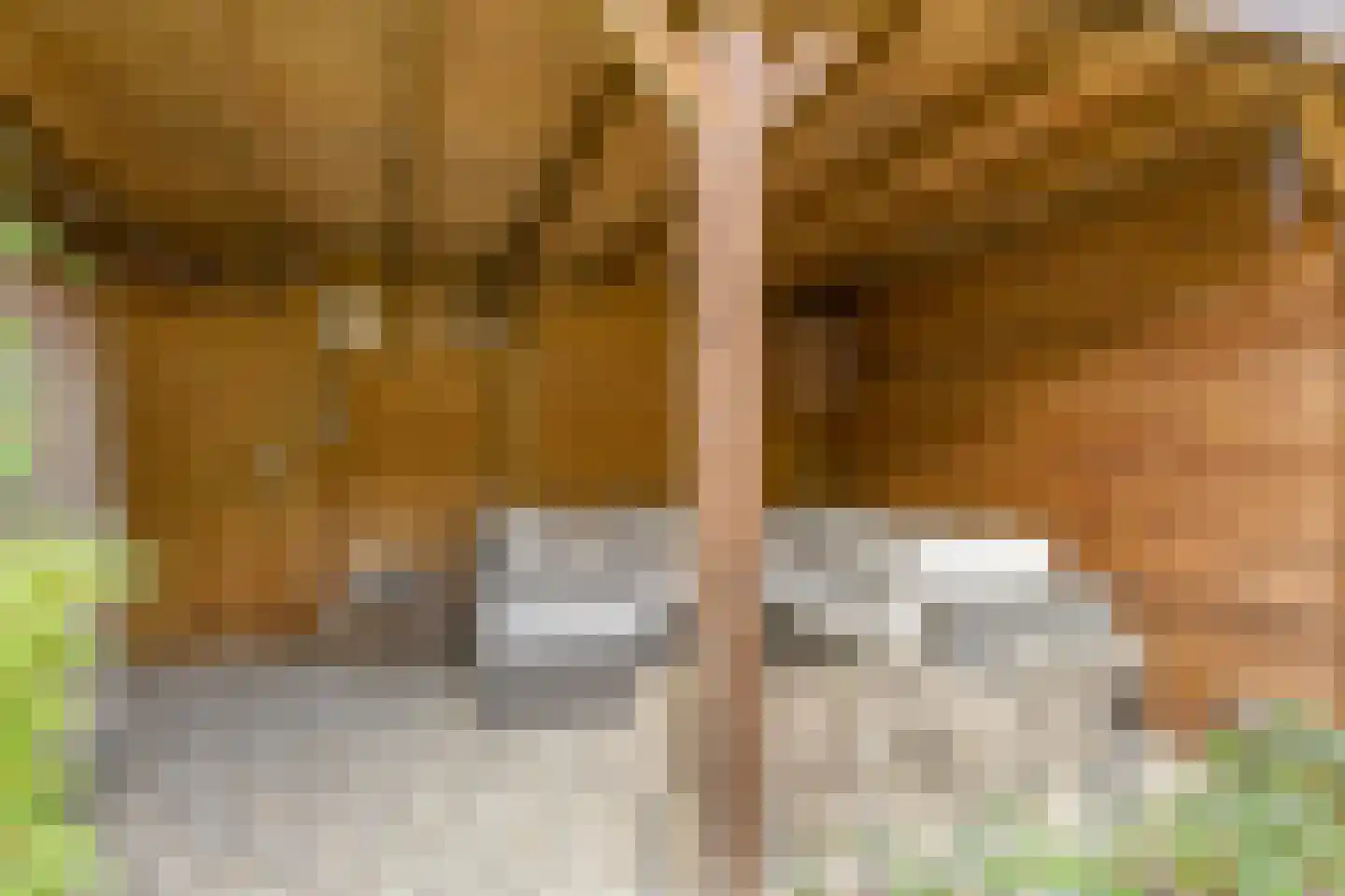 Bremlaan 70 Oss thumbnail 25