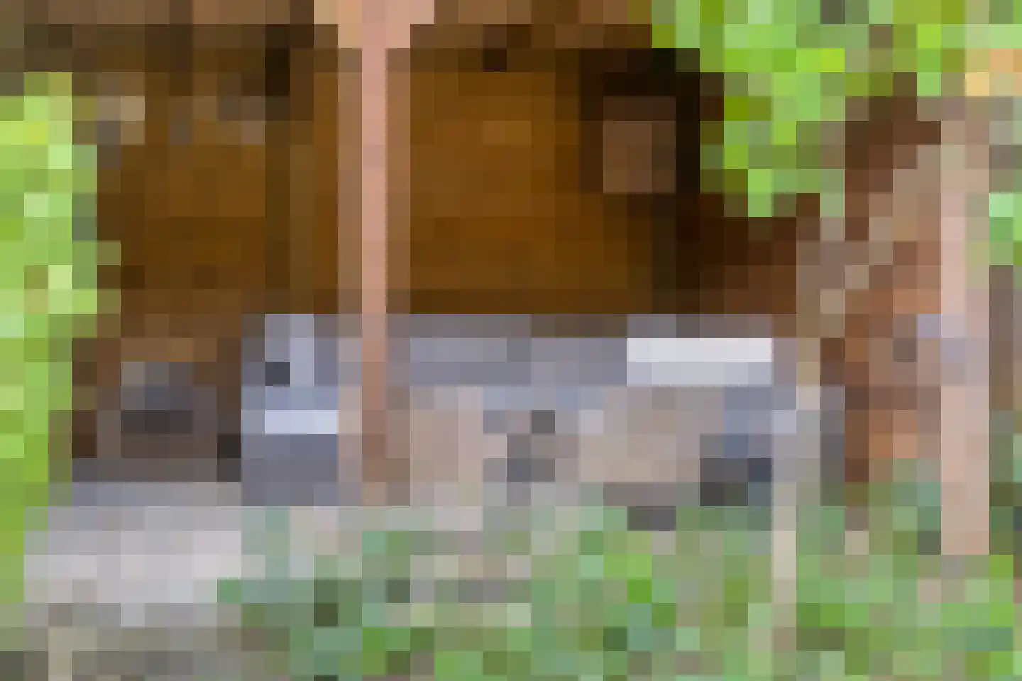 Bremlaan 70 Oss thumbnail 26
