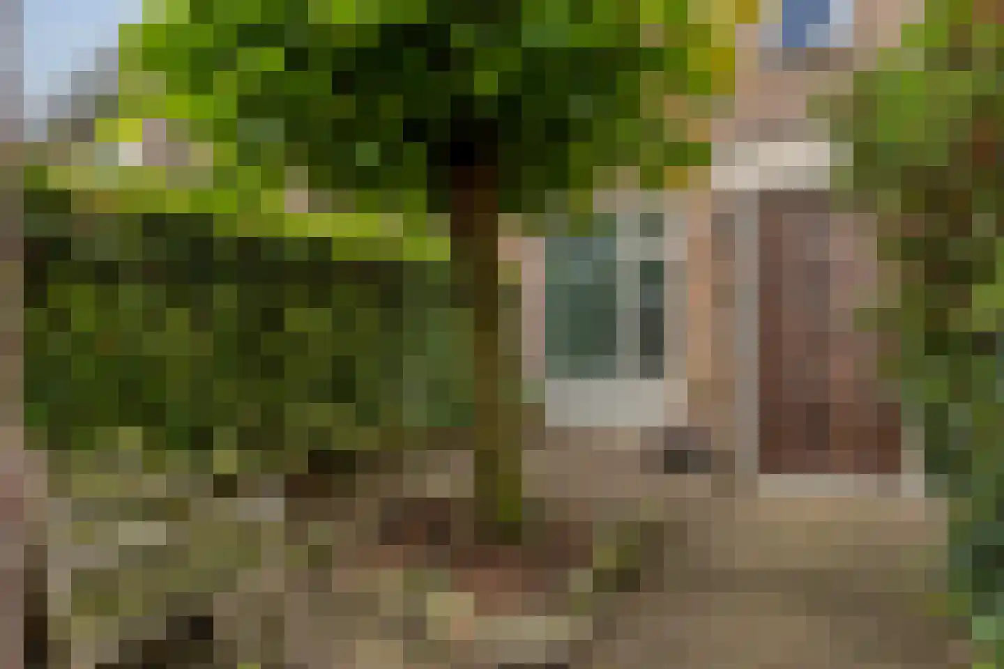Bremlaan 70 Oss thumbnail 27