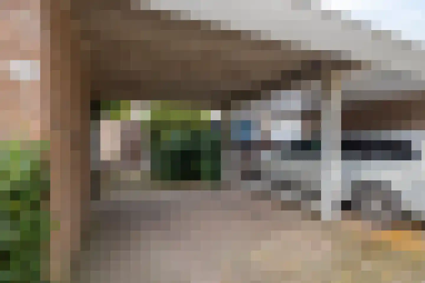 Bremlaan 70 Oss thumbnail 29