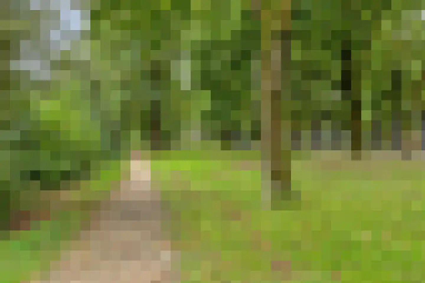 Bremlaan 70 Oss thumbnail 33