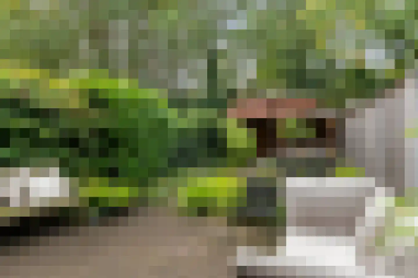 Bremlaan 70 Oss thumbnail 4