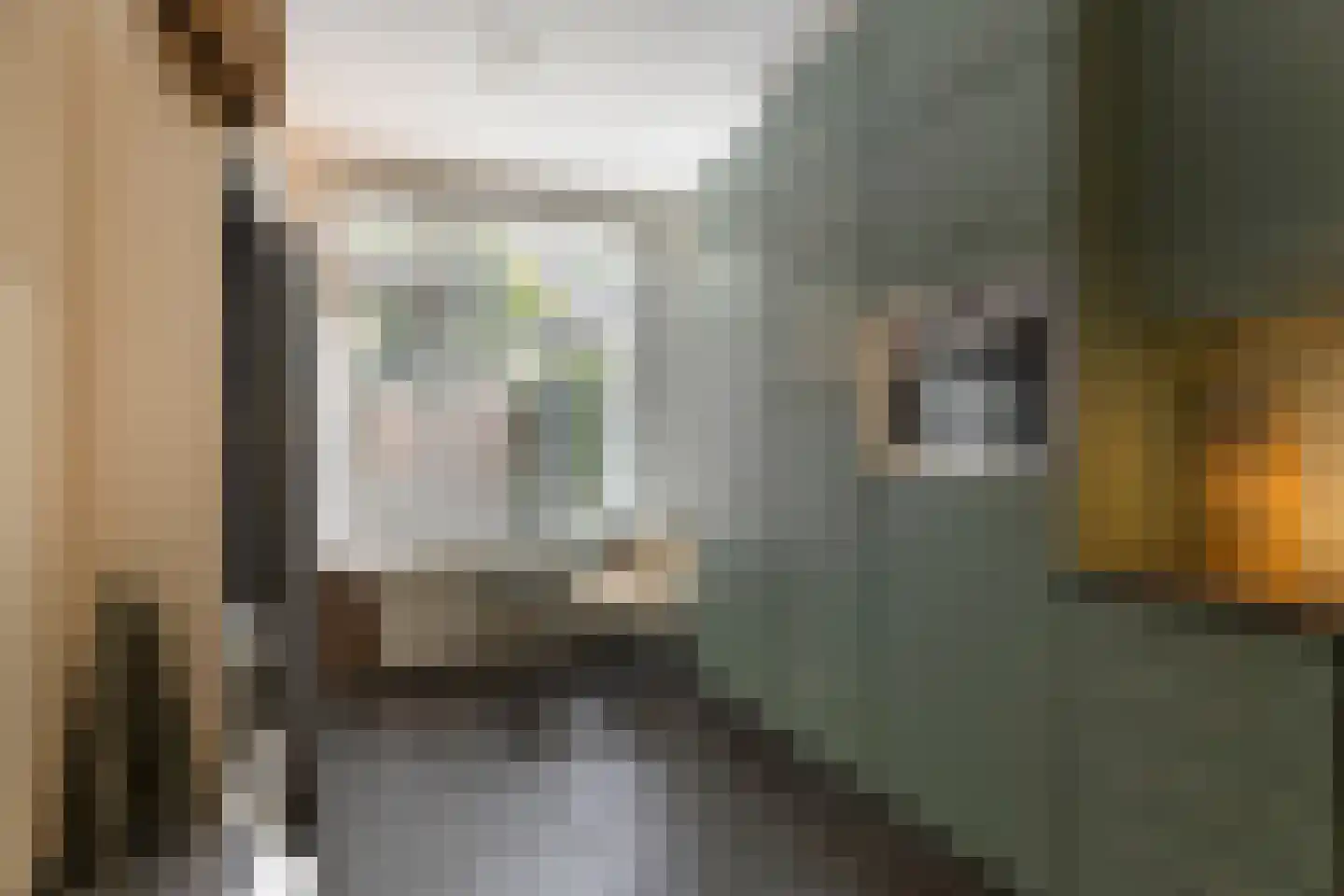 Bremlaan 70 Oss thumbnail 9