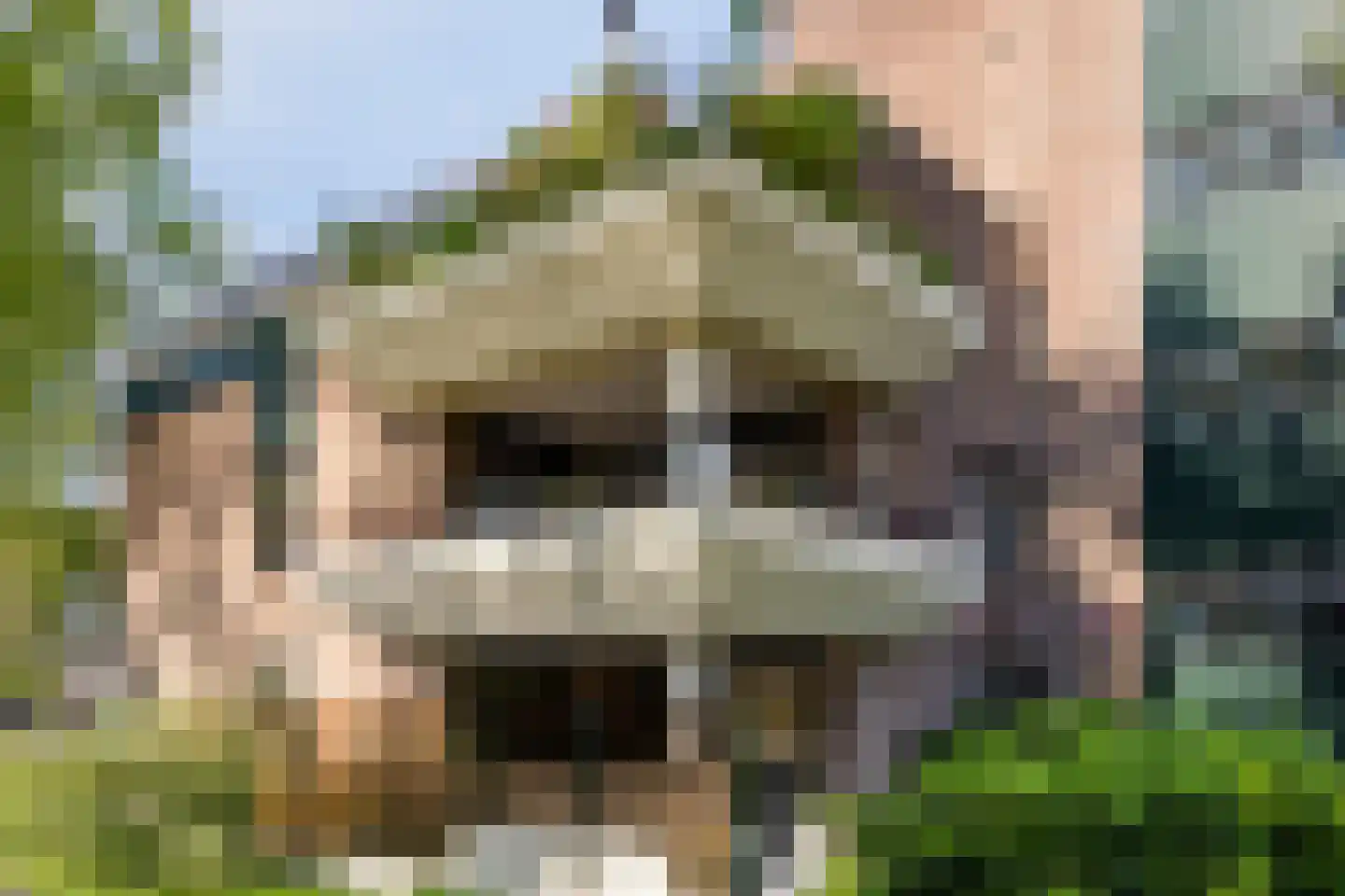 Bremlaan 8 Oss thumbnail 13