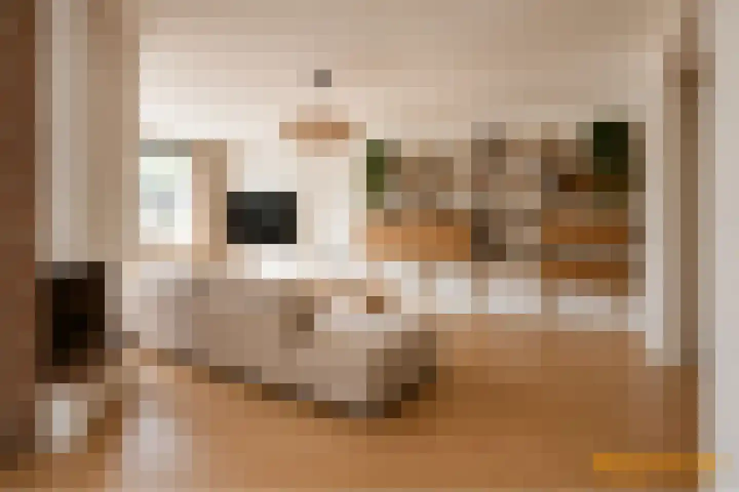 Bremlaan 8 Oss thumbnail 20