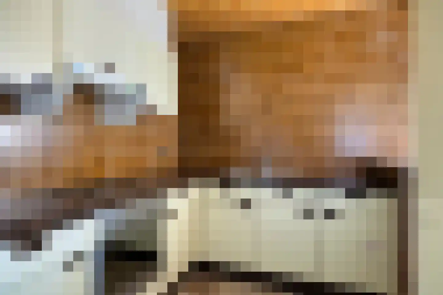 Bremlaan 8 Oss thumbnail 27