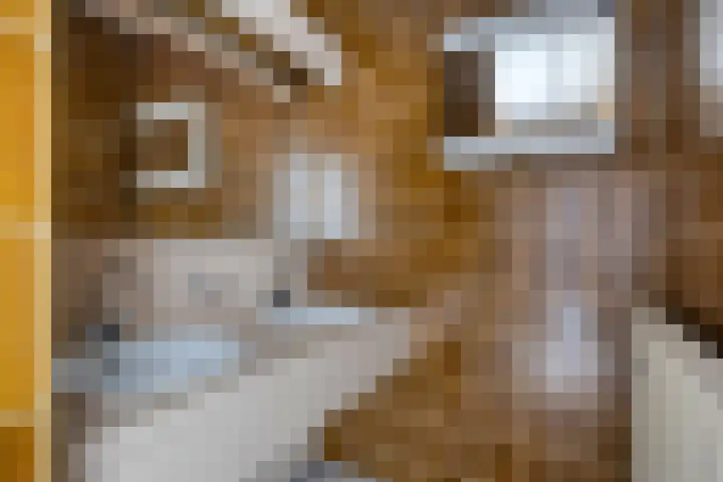 Bremlaan 8 Oss thumbnail 34