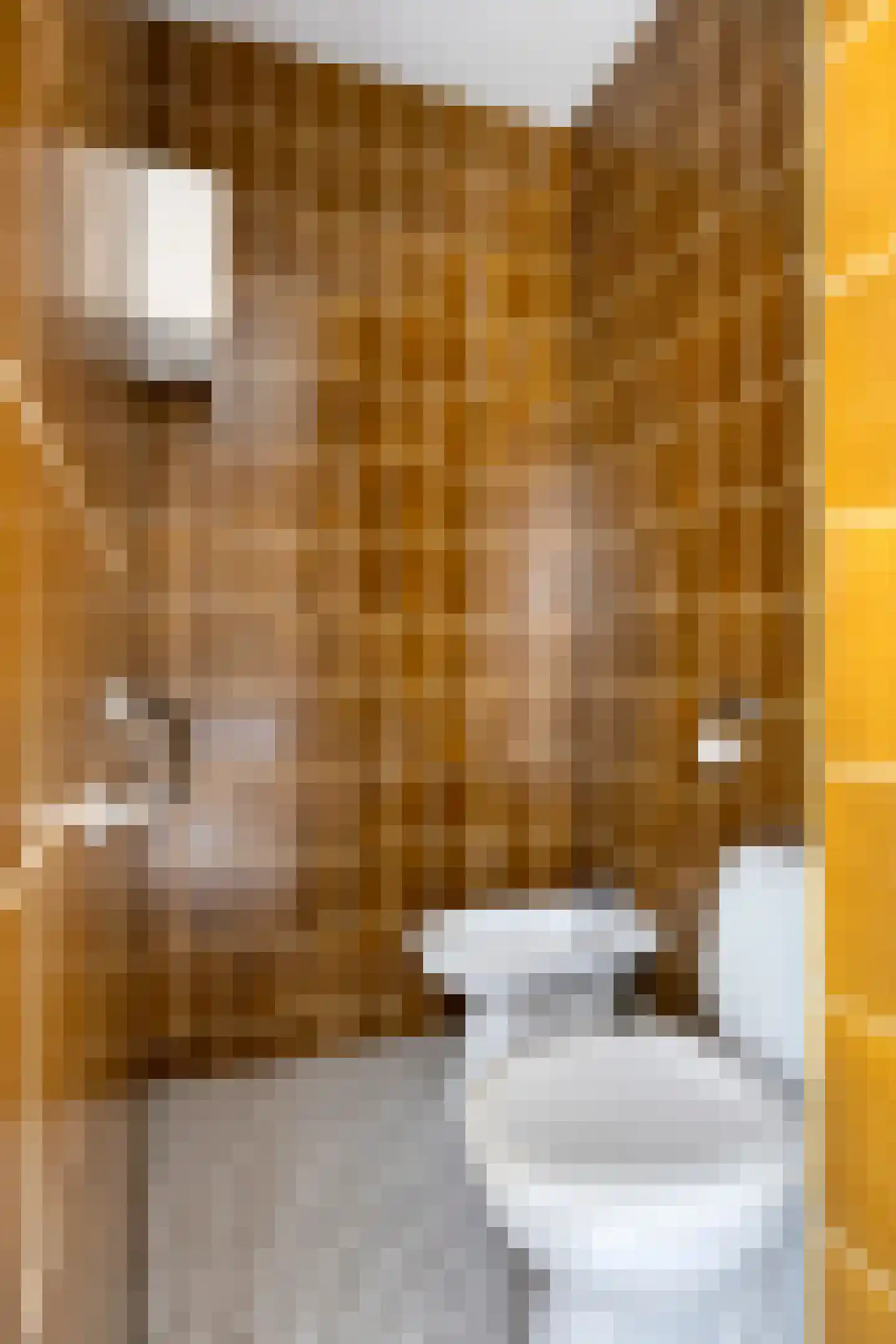 Bremlaan 8 Oss thumbnail 36