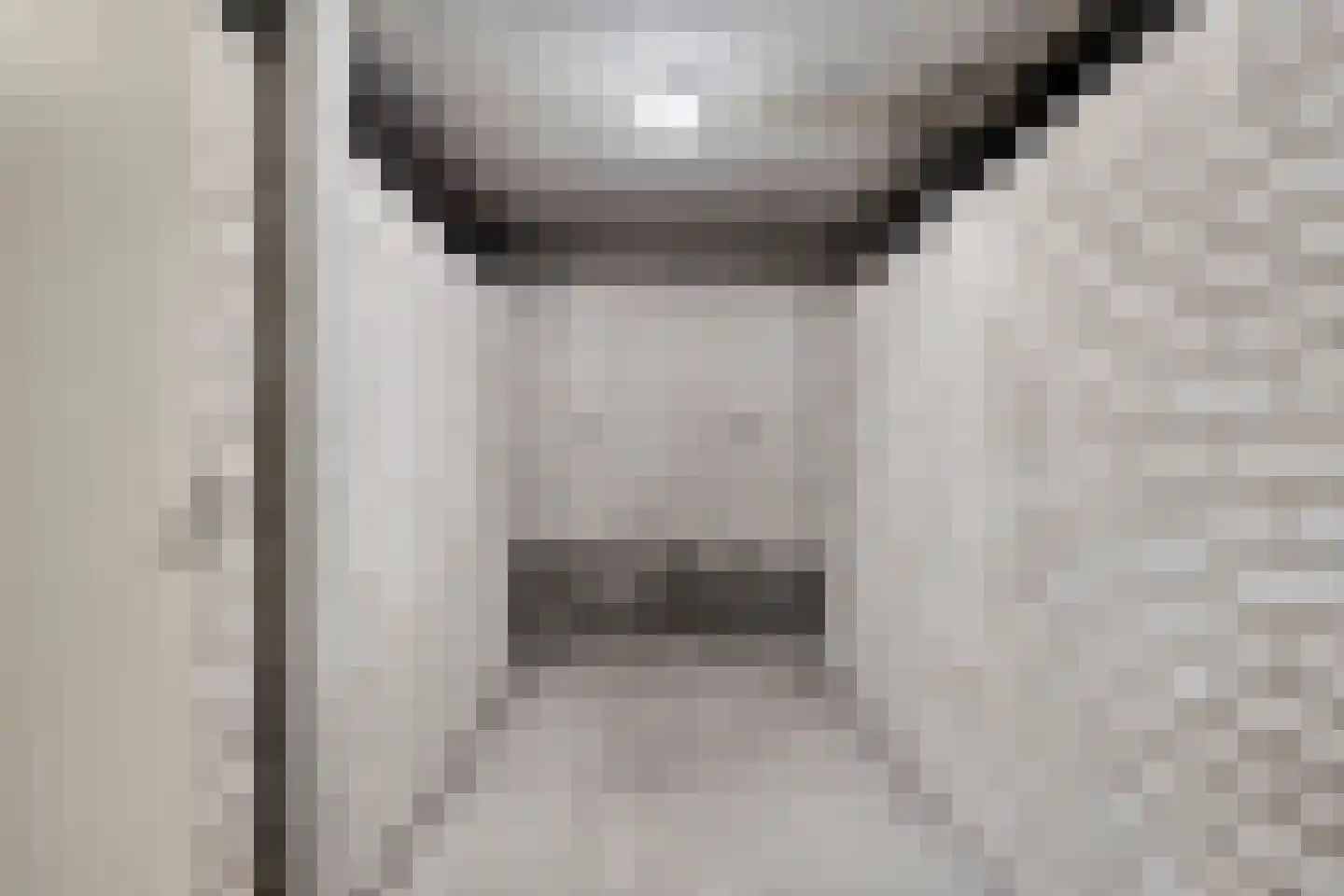 Bremlaan 8 Oss thumbnail 40