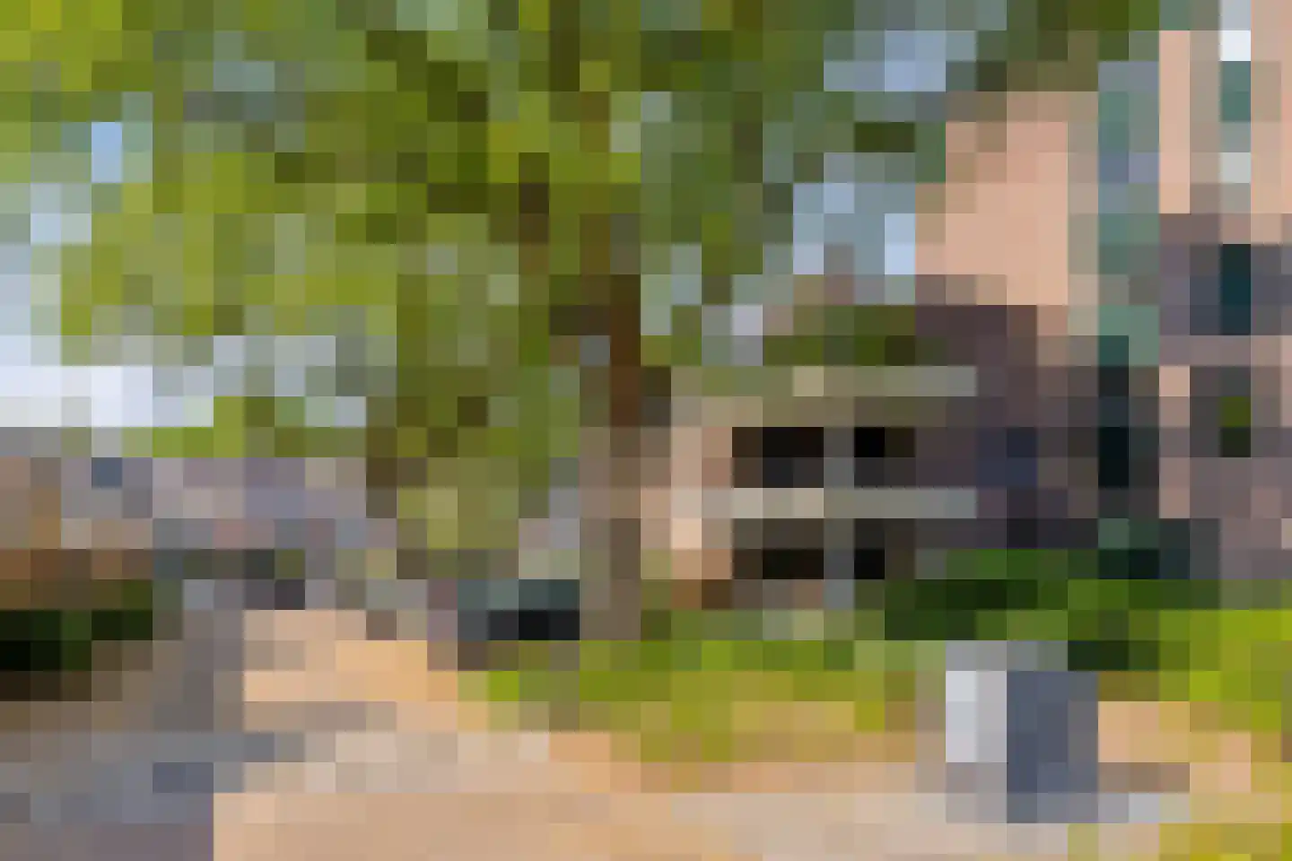 Bremlaan 8 Oss thumbnail 43