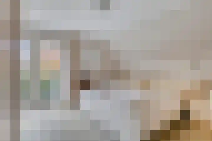 Bremlaan 9 Valkenswaard thumbnail 14
