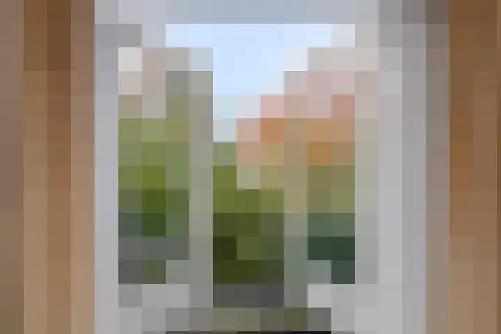 Bremlaan 9 Valkenswaard thumbnail 15