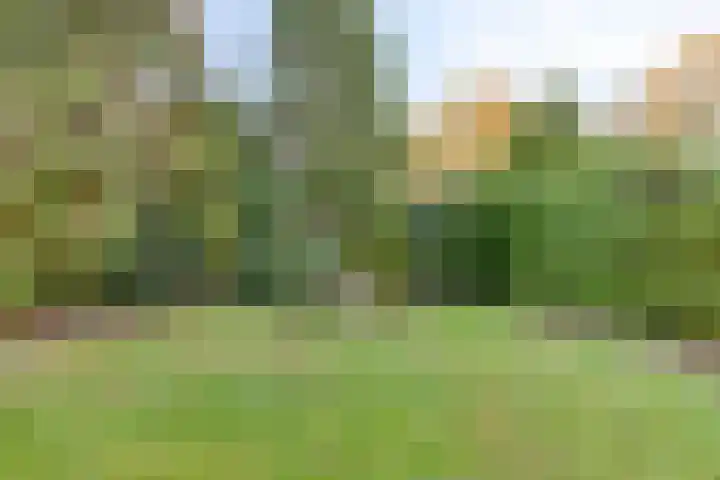 Bremlaan 9 Valkenswaard thumbnail 20