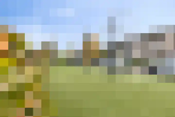 Bremlaan 9 Valkenswaard thumbnail 25
