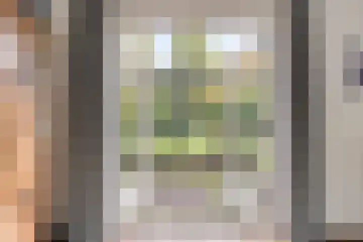 Bremlaan 9 Valkenswaard thumbnail 8