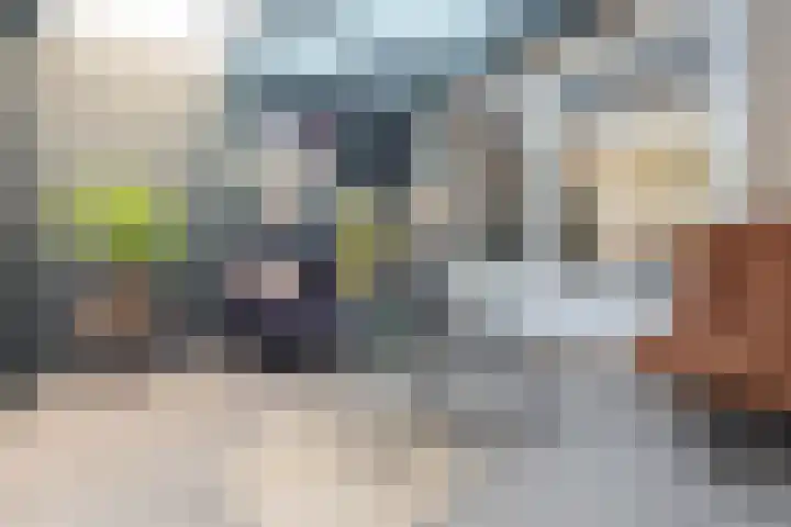 Bremmersstraat 10 Beverwijk thumbnail 22