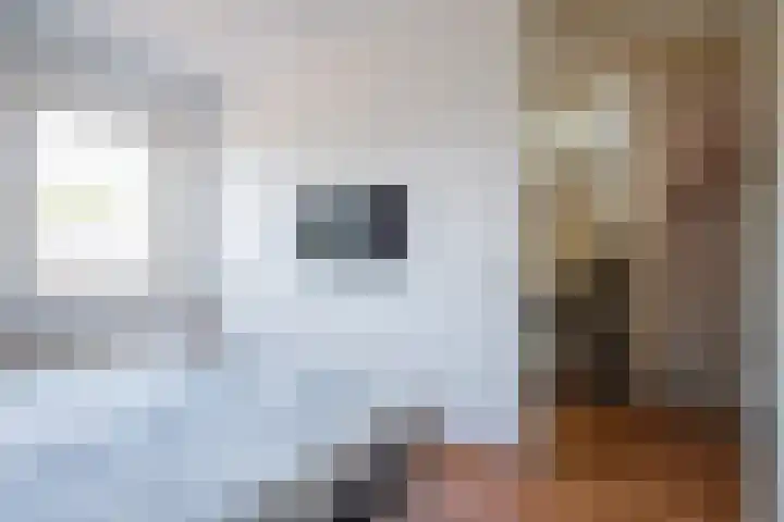 Bremraap 12 Tegelen thumbnail 16