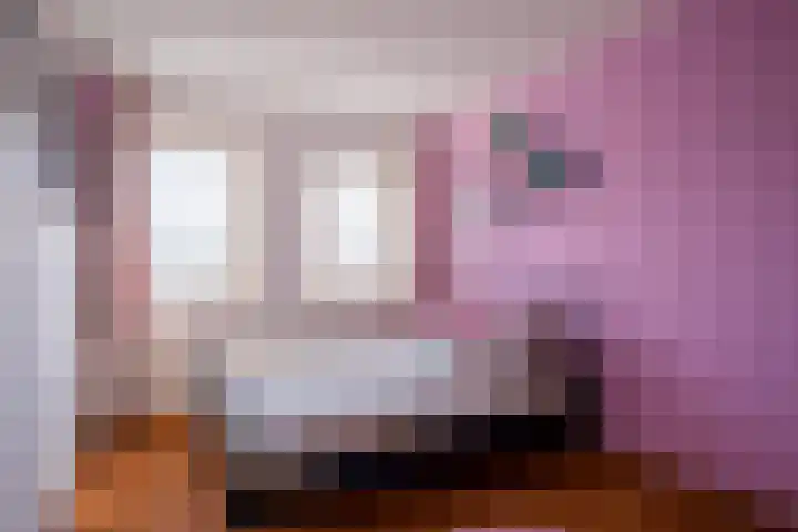 Bremraap 12 Tegelen thumbnail 18