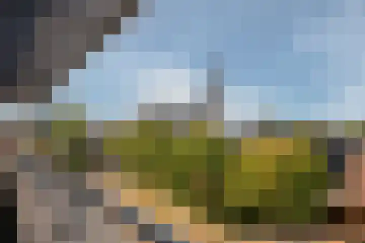 Bremraap 12 Tegelen thumbnail 26