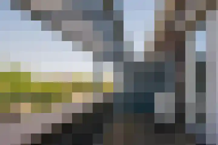 Bremraap 12 Tegelen thumbnail 27