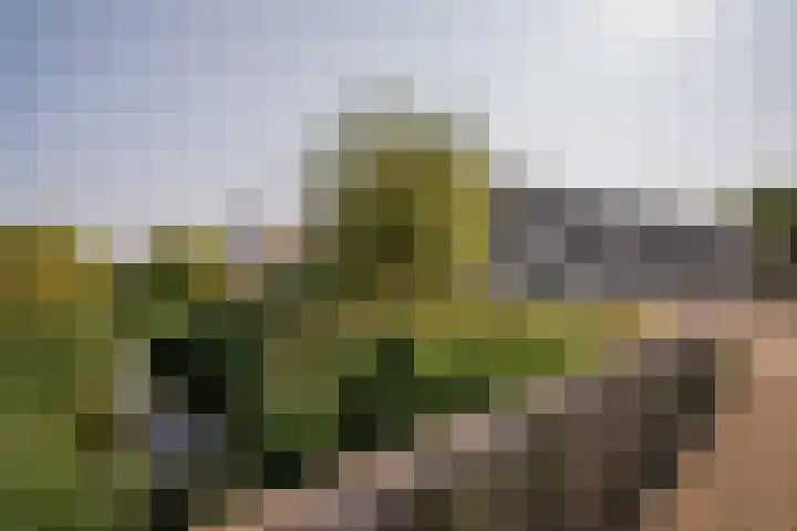 Bremraap 12 Tegelen thumbnail 38