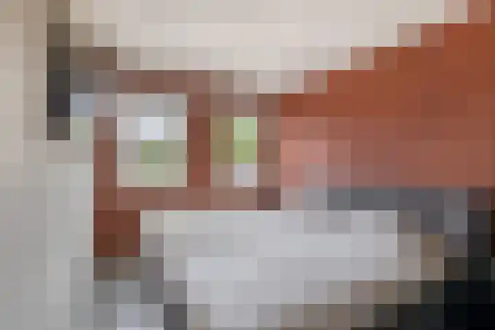 Bremraap 14 Tegelen thumbnail 13