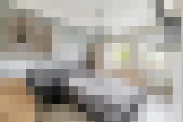 Bremraap 14 Tegelen thumbnail 14