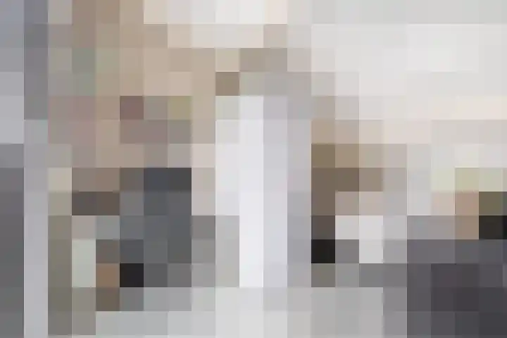 Bremraap 14 Tegelen thumbnail 18