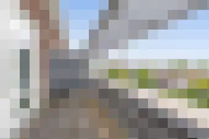 Bremraap 14 Tegelen thumbnail 20