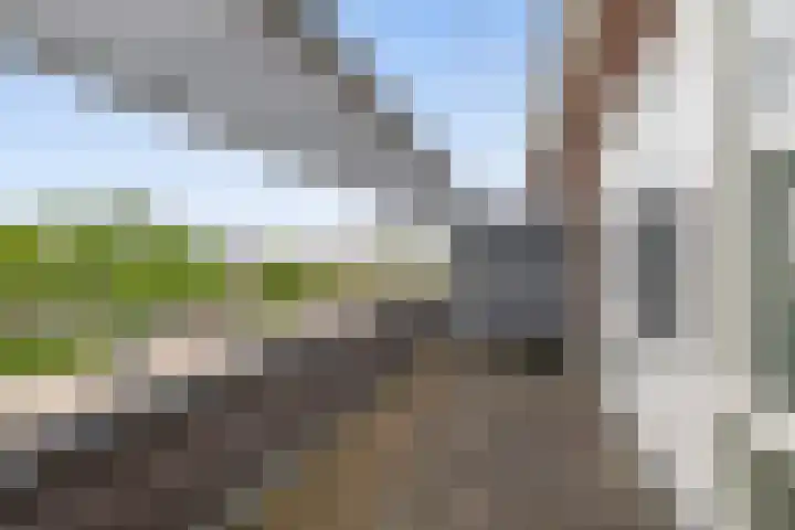 Bremraap 14 Tegelen thumbnail 21