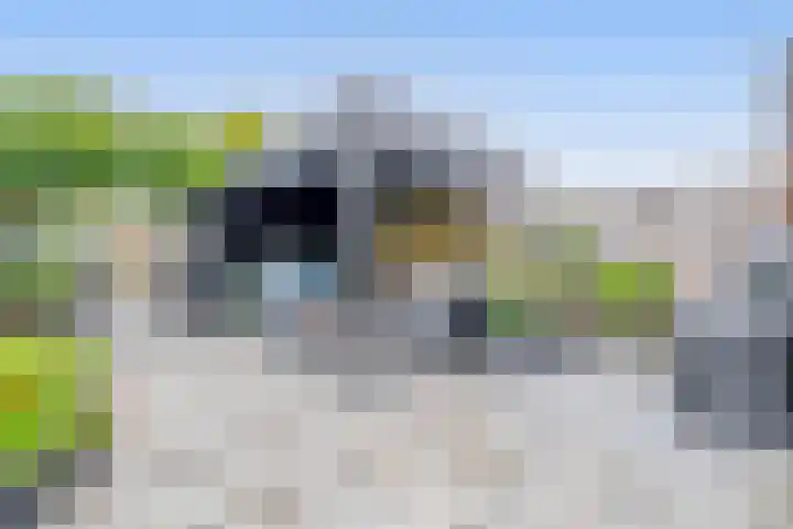 Bremraap 14 Tegelen thumbnail 24